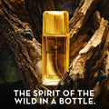 1 Billion AFLUXE PERFUME men perfume image 2
